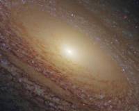 демо-картинка Спиральная галактика